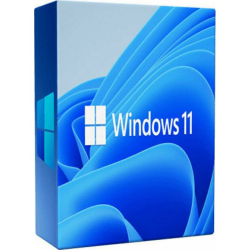 Microsoft Windows 11 Professional DSP license - DVD