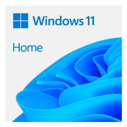 Microsoft Windows 11 Home 64bit English