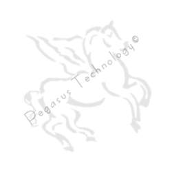 Pegasus Web App REST Service